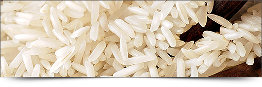 About Rice 1